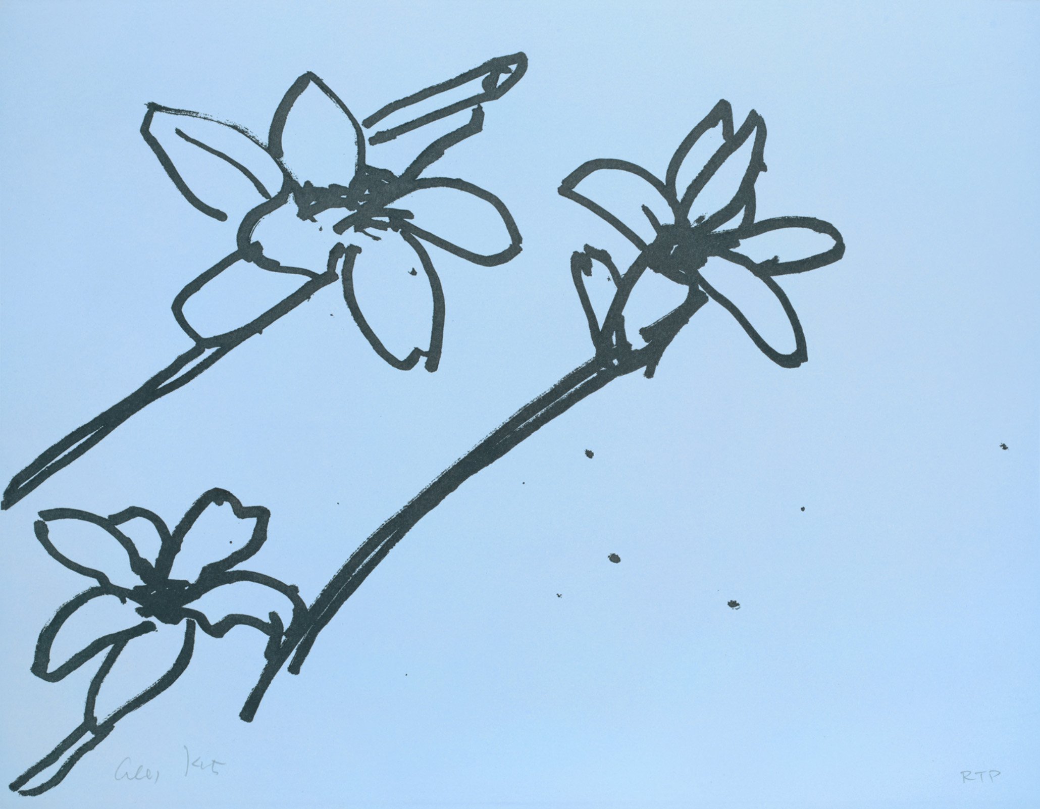lilies9.jpg