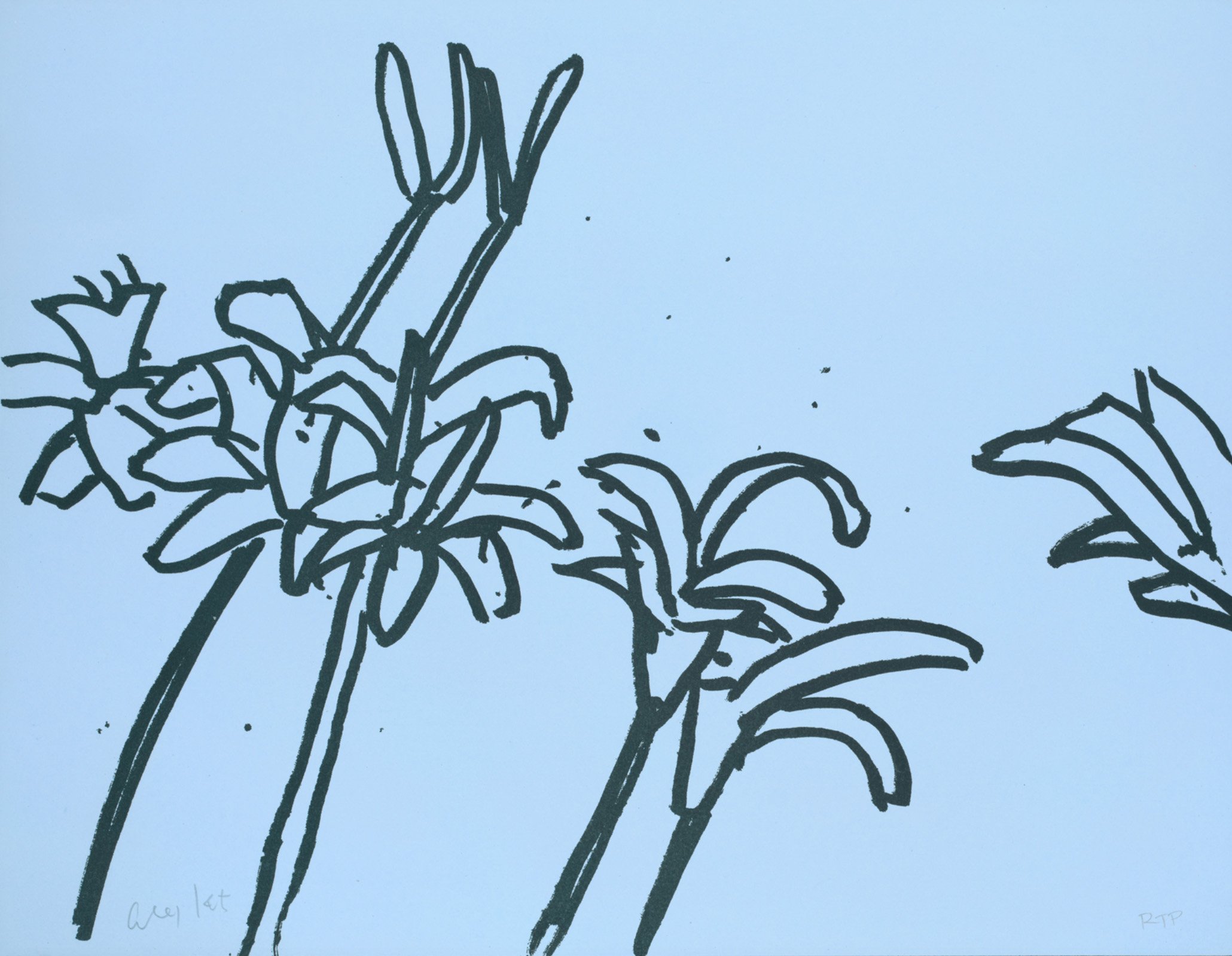 lilies10.jpg