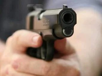 handgun image 2.jpeg