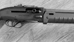 shotgun image.jpeg