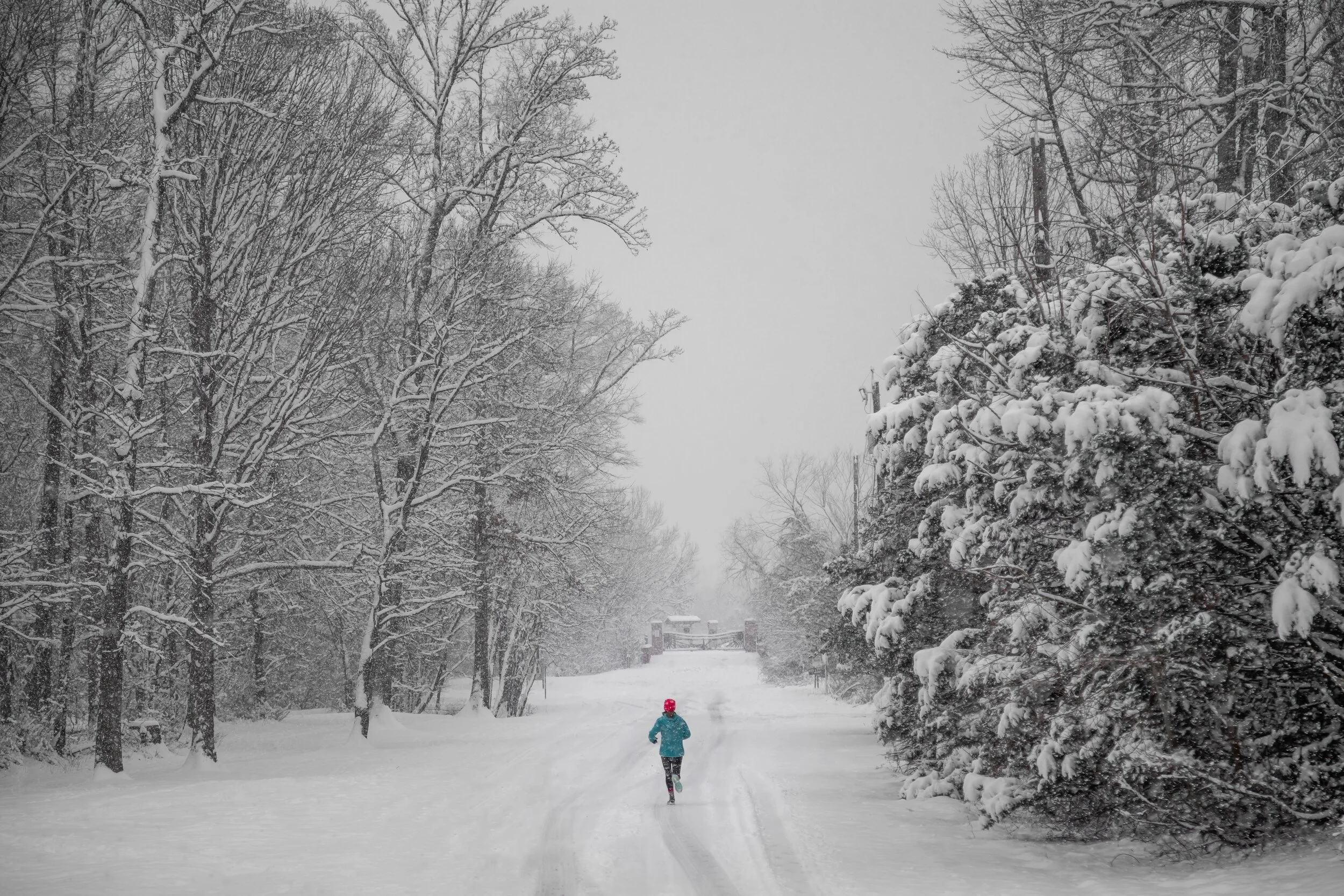 Winter Trails