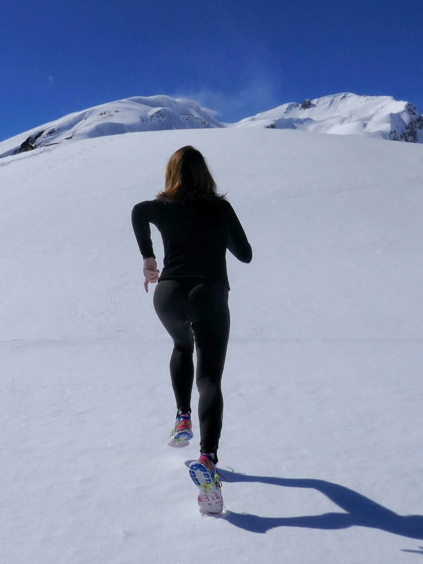 The Winter Runner