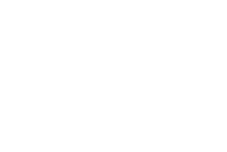 The Toasted Coconut
