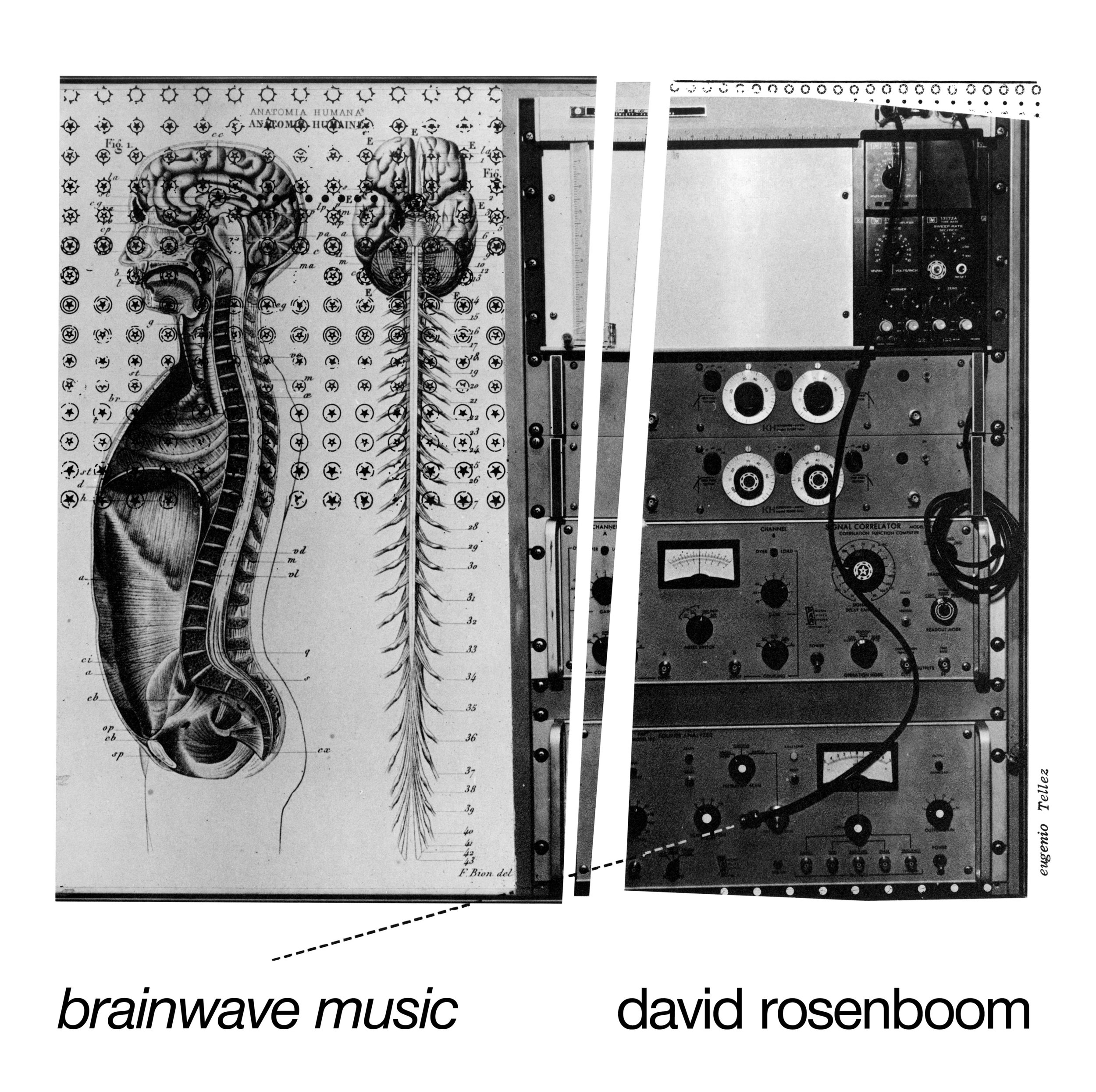 Brainwave Music - Double Vinyl