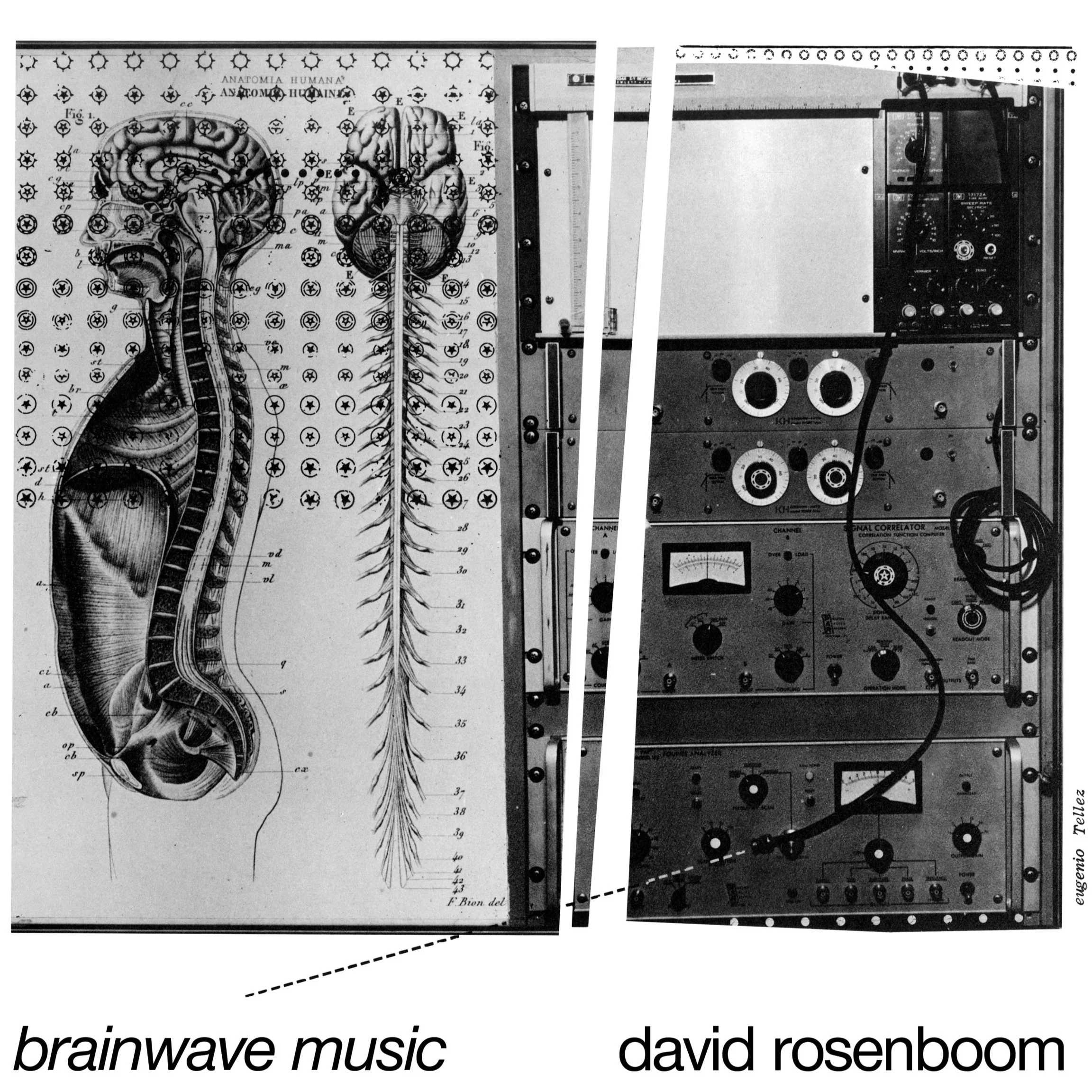 New 2LP release available from BLACK TRUFFLE RECORDS