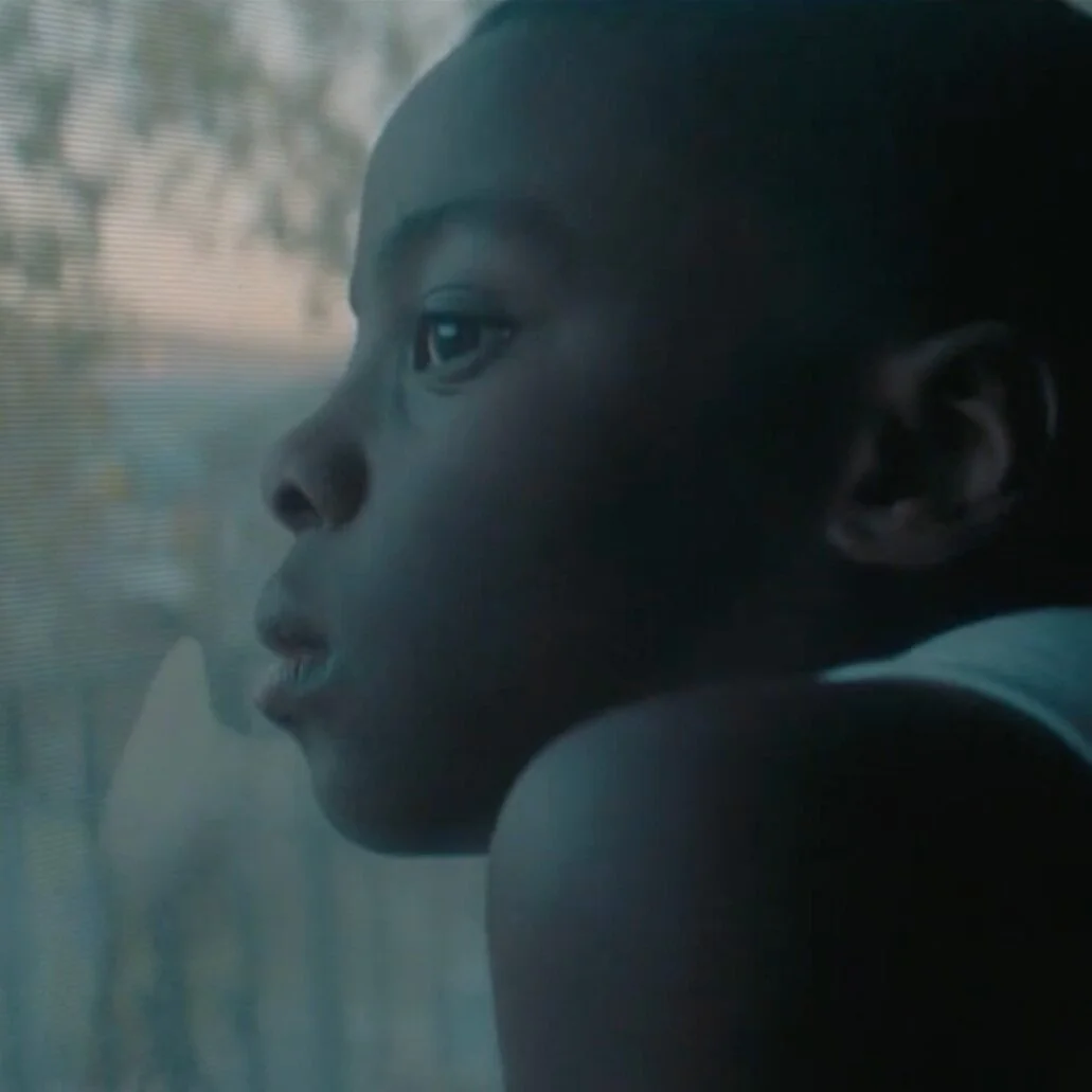 2020 Primary Victories - Political Ads