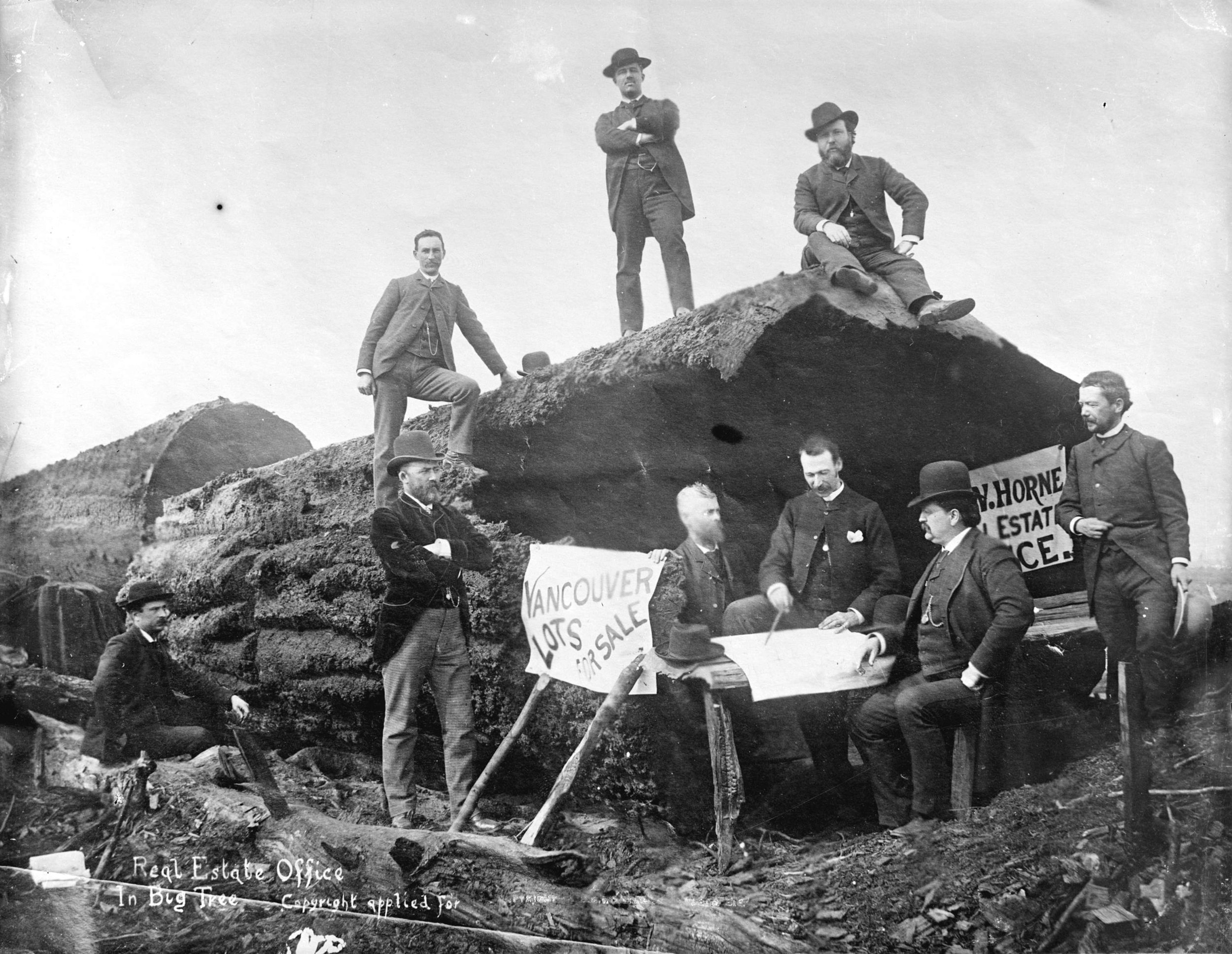 Real-Estate-Office-in-a-big-tree-promotional-event-in-Vancouver-in-1886-Vancouver-Archives.jpg