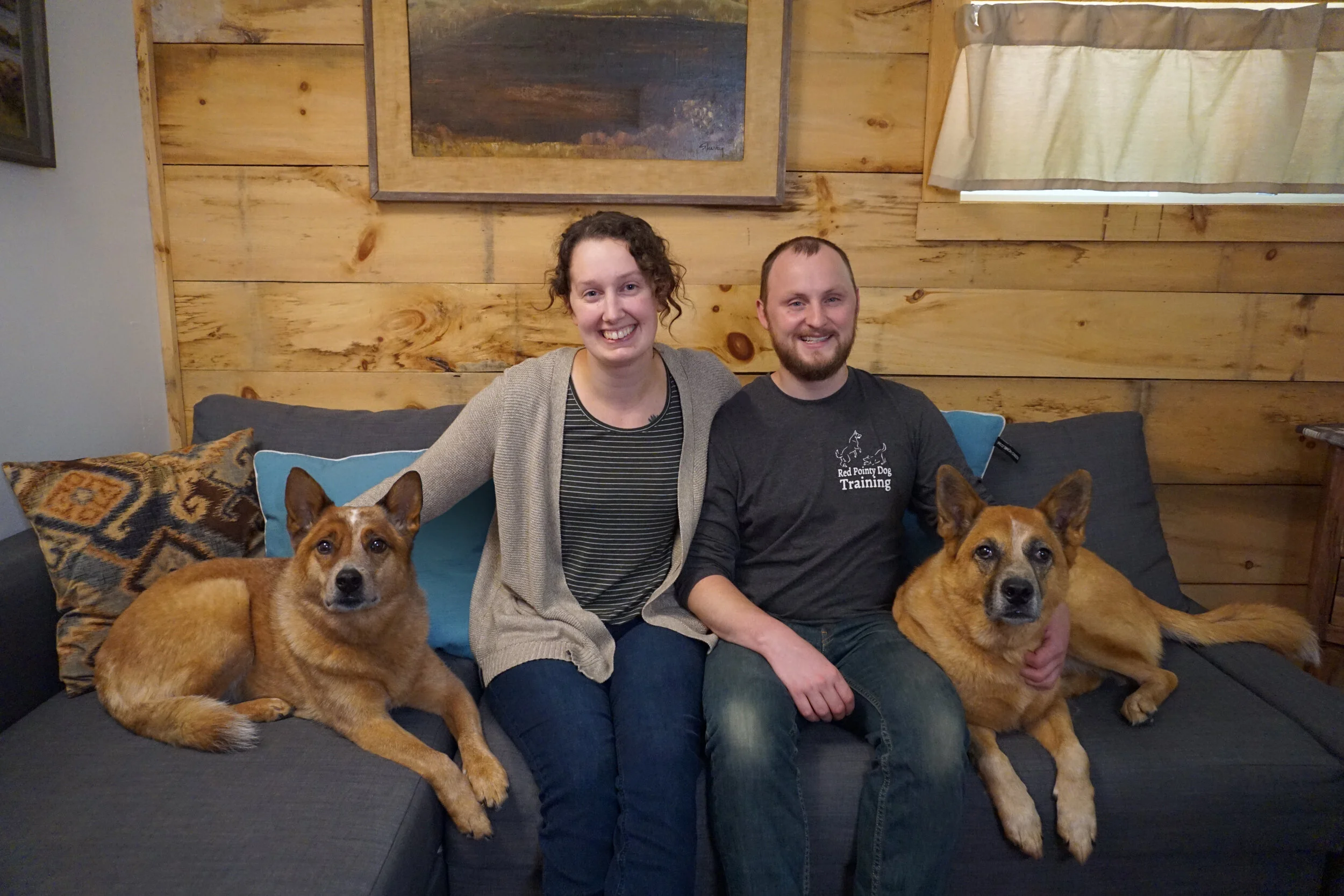 Dog Days of The Pandemic