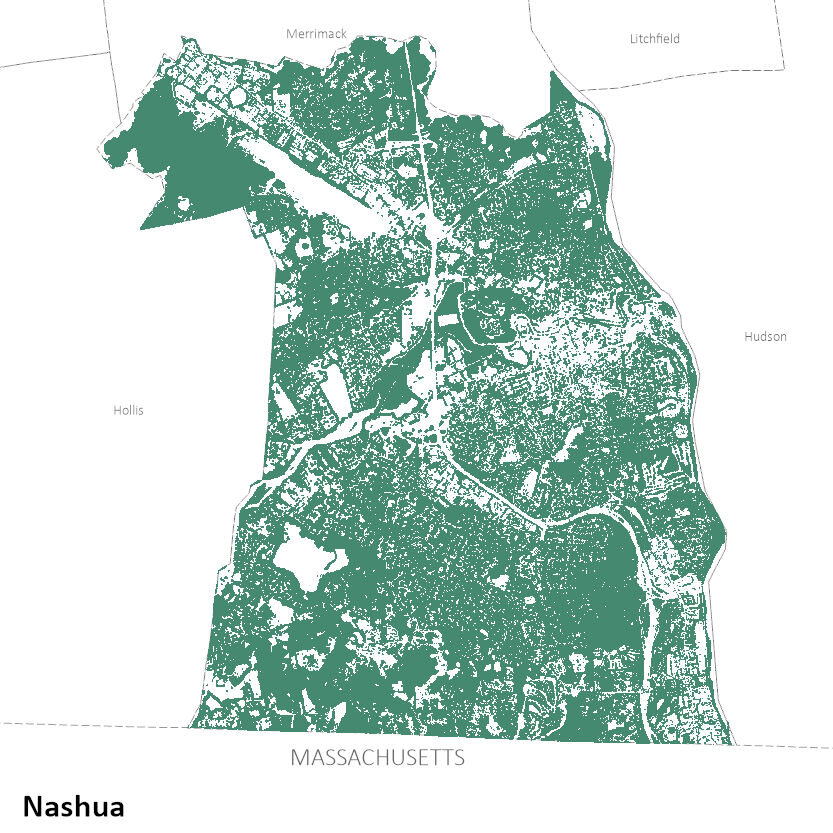 Map_1City_TreeCover_v2021-08-15_Nash.jpg