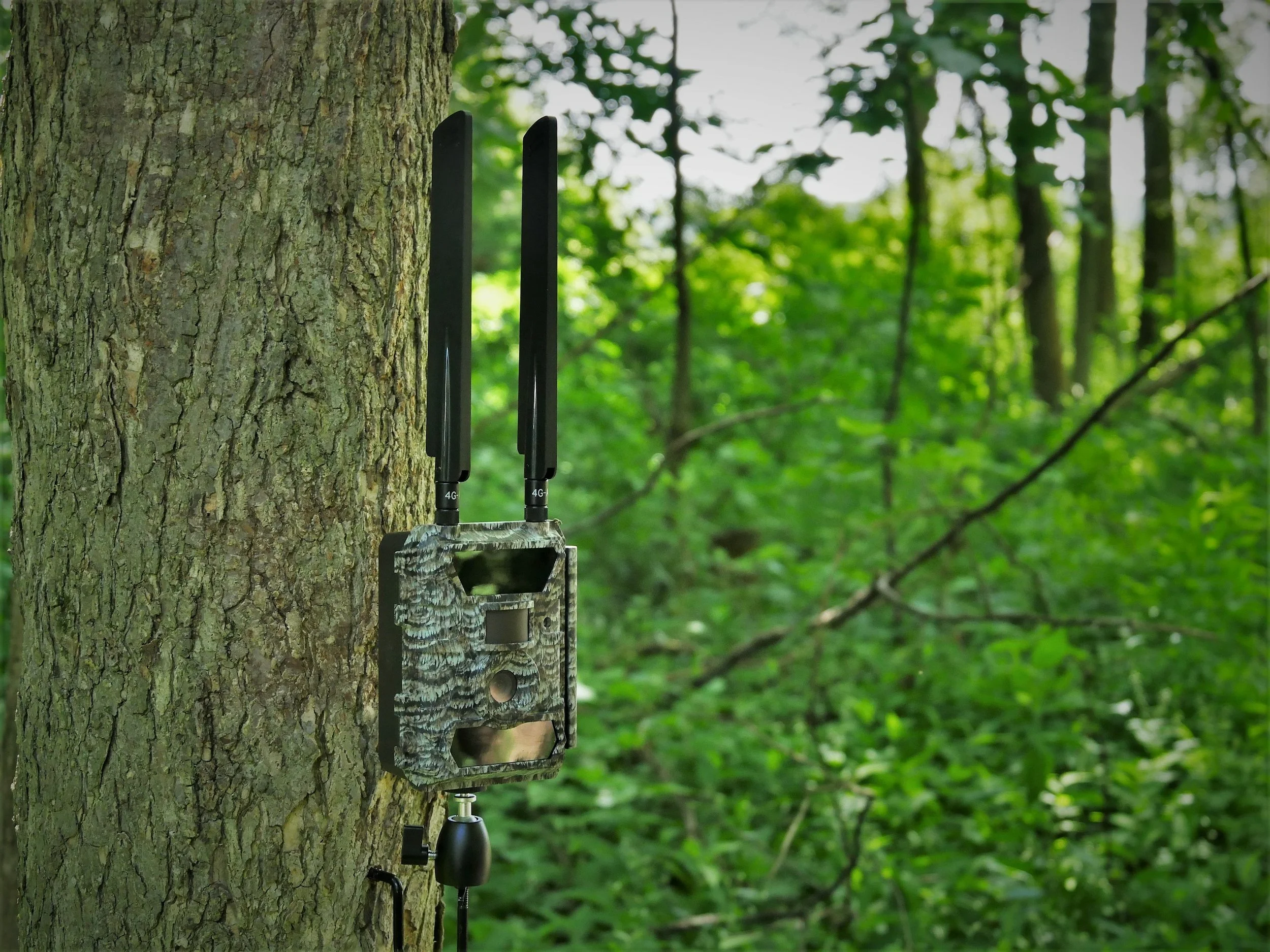 Does NH need a law on game cameras to protect privacy, “fair chase” hunting?