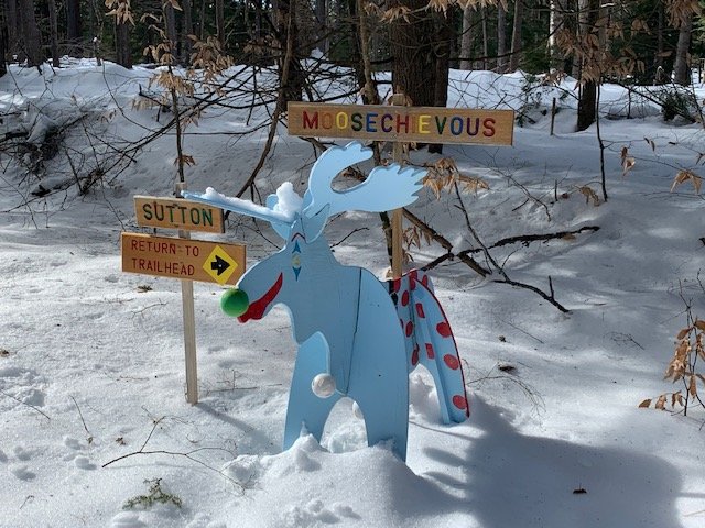  This “Moosechievous” Moosecot marks the location of the Sutton trail. by Linda Magoon 