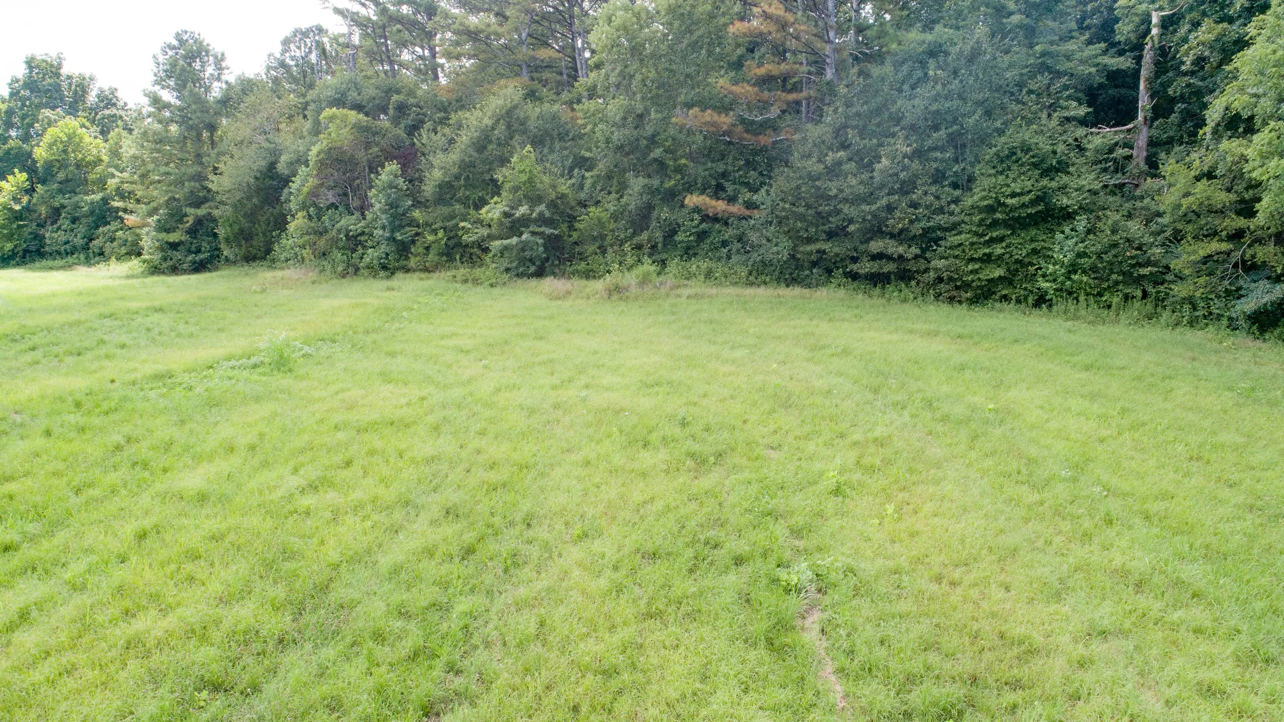 DJI_0093.JPG