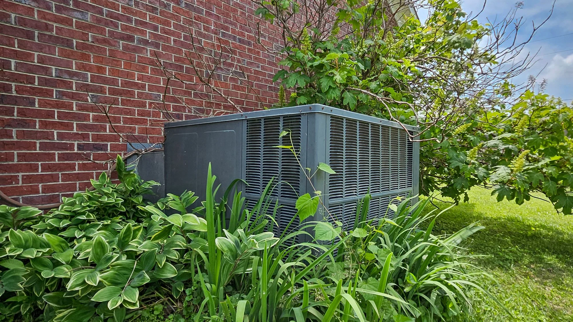 20250509_113053.JPG