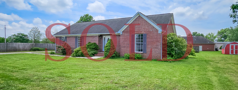 Website Images (2).png