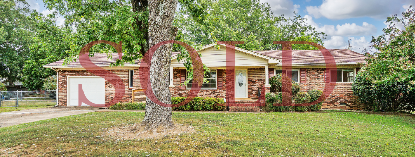 Website Images (5).png