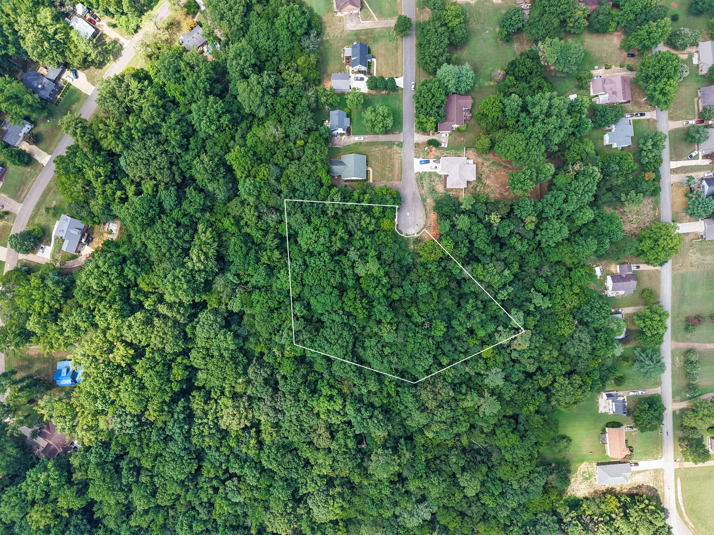 2-Drone 1 with Lines.jpg