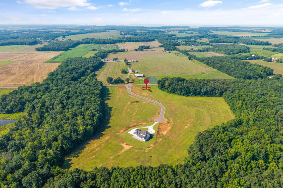 Website Image (9).png