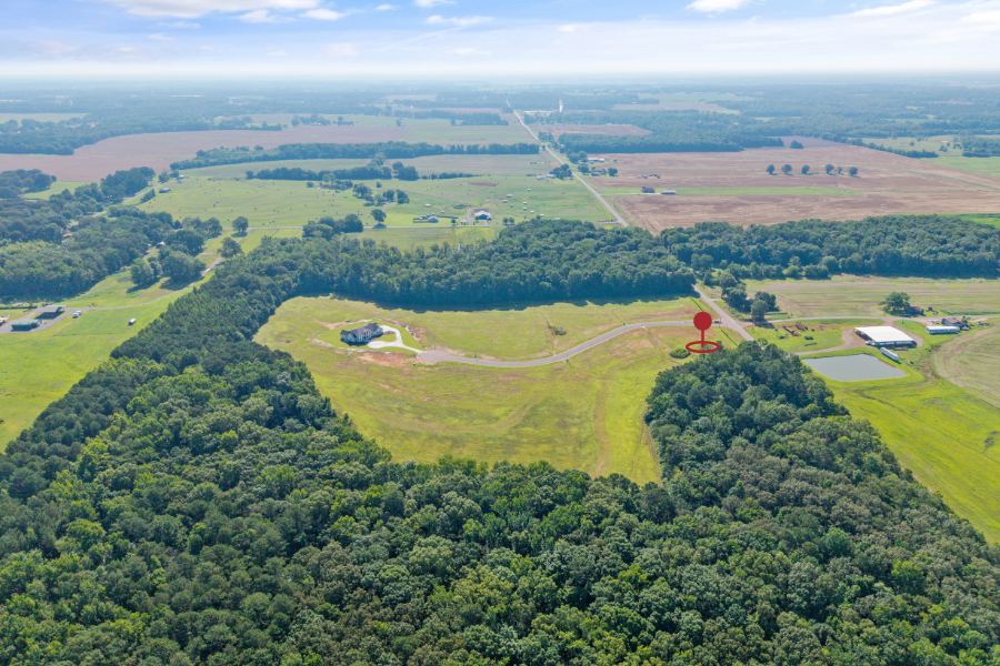 Website Image (7).png