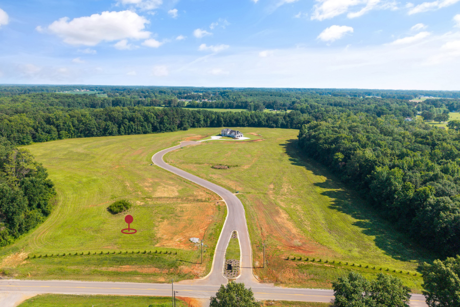 Website Image (6).png