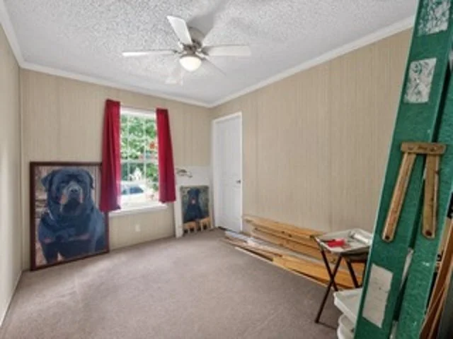 17_177_Co_Rd_533-Living_room-8003.jpeg