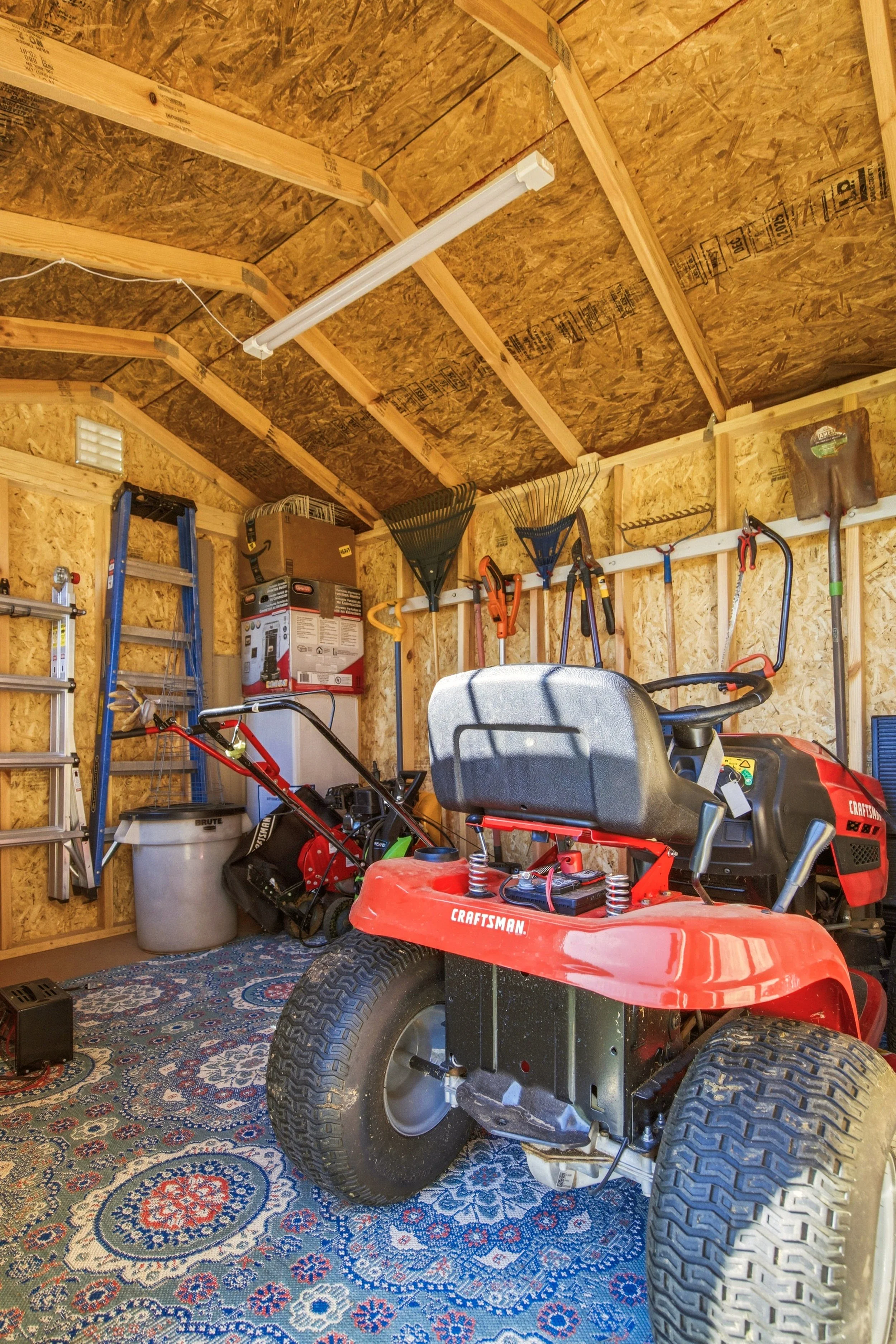 Barley-46.jpg