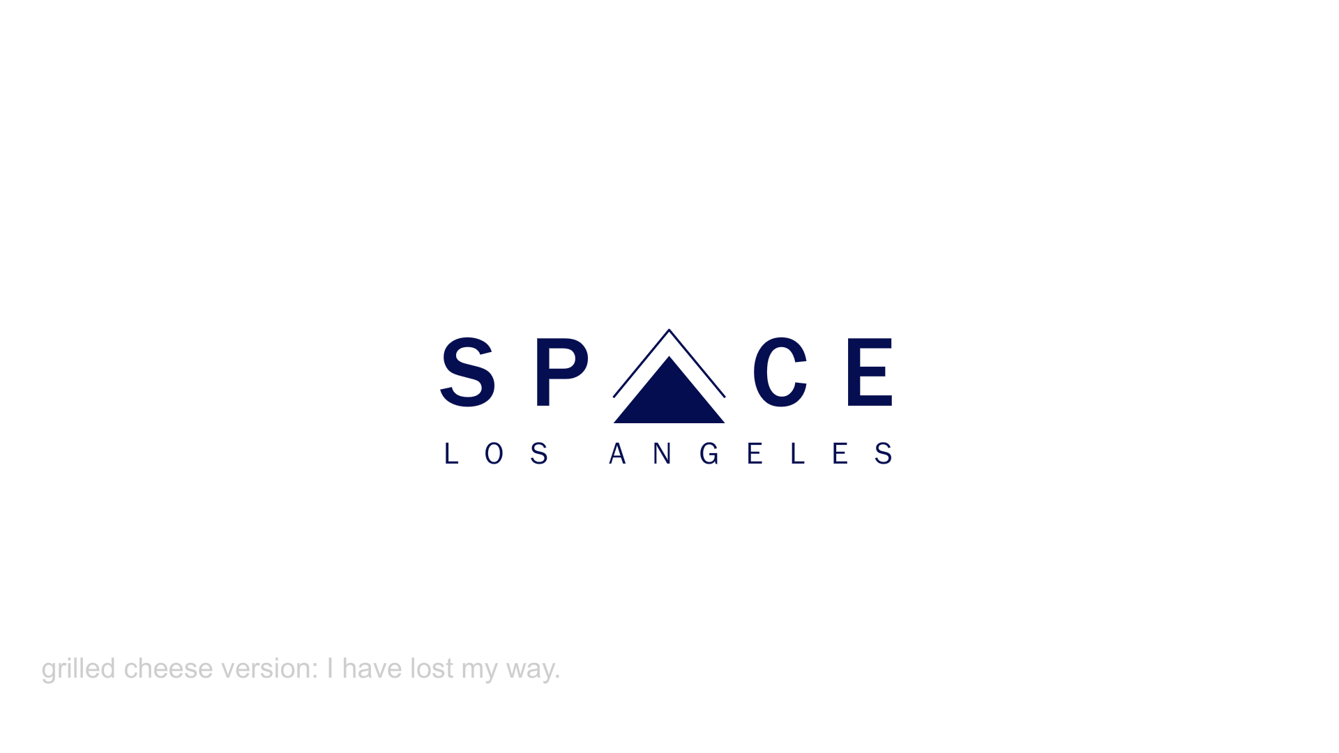 spacelogo19.png