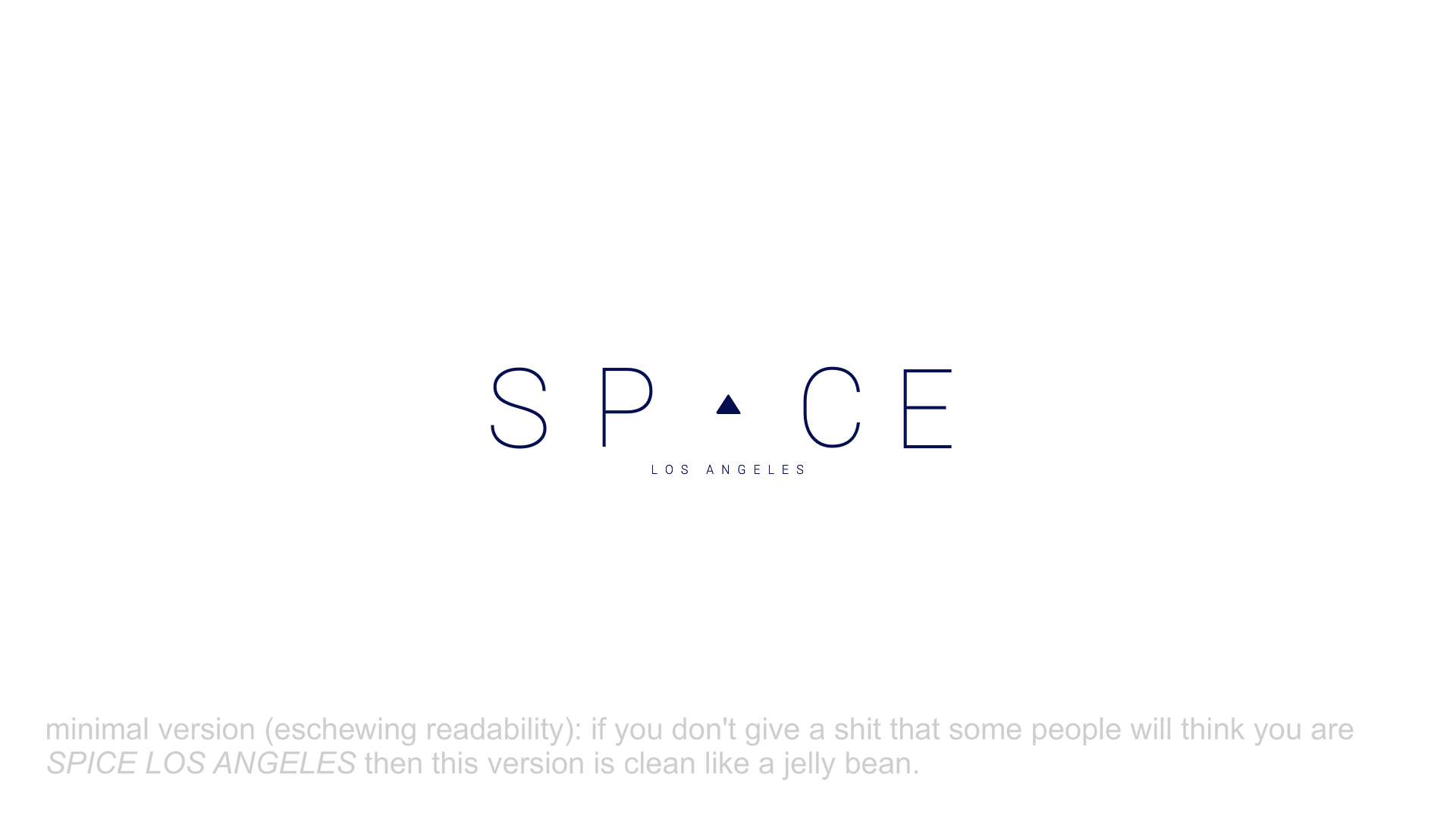 spacelogo22.png