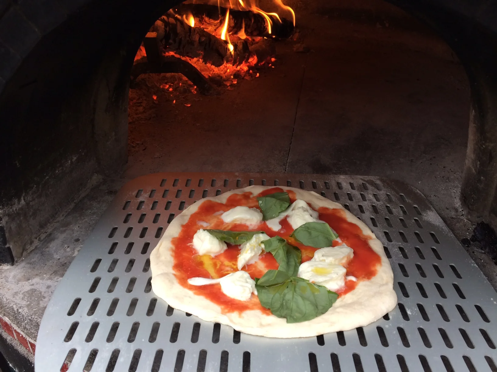 Fresh formed Margherita pizza