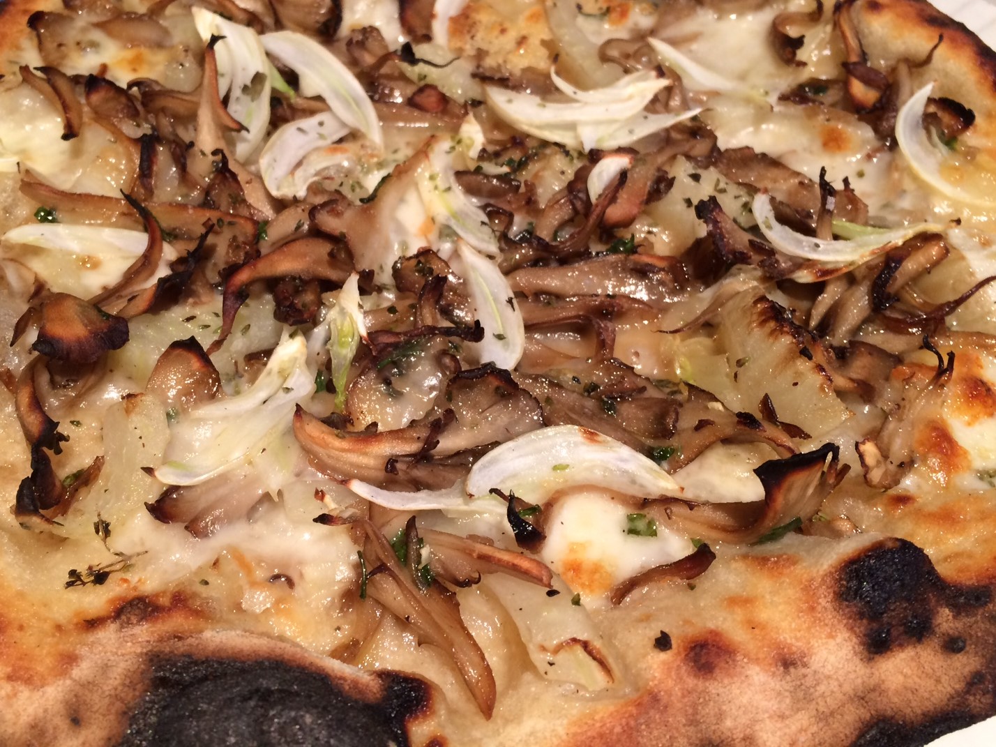 Wild mushroom pizza straight out of the wood fire oven