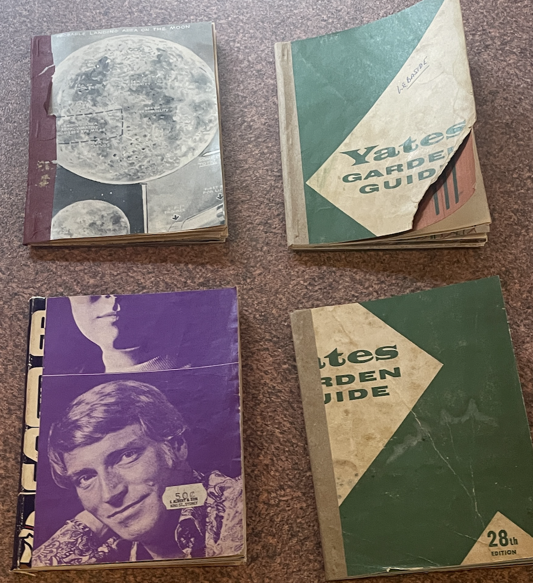 "The Brown Paper Zines(Limited Edition run for Strange Folds Zine Fair" (2024)