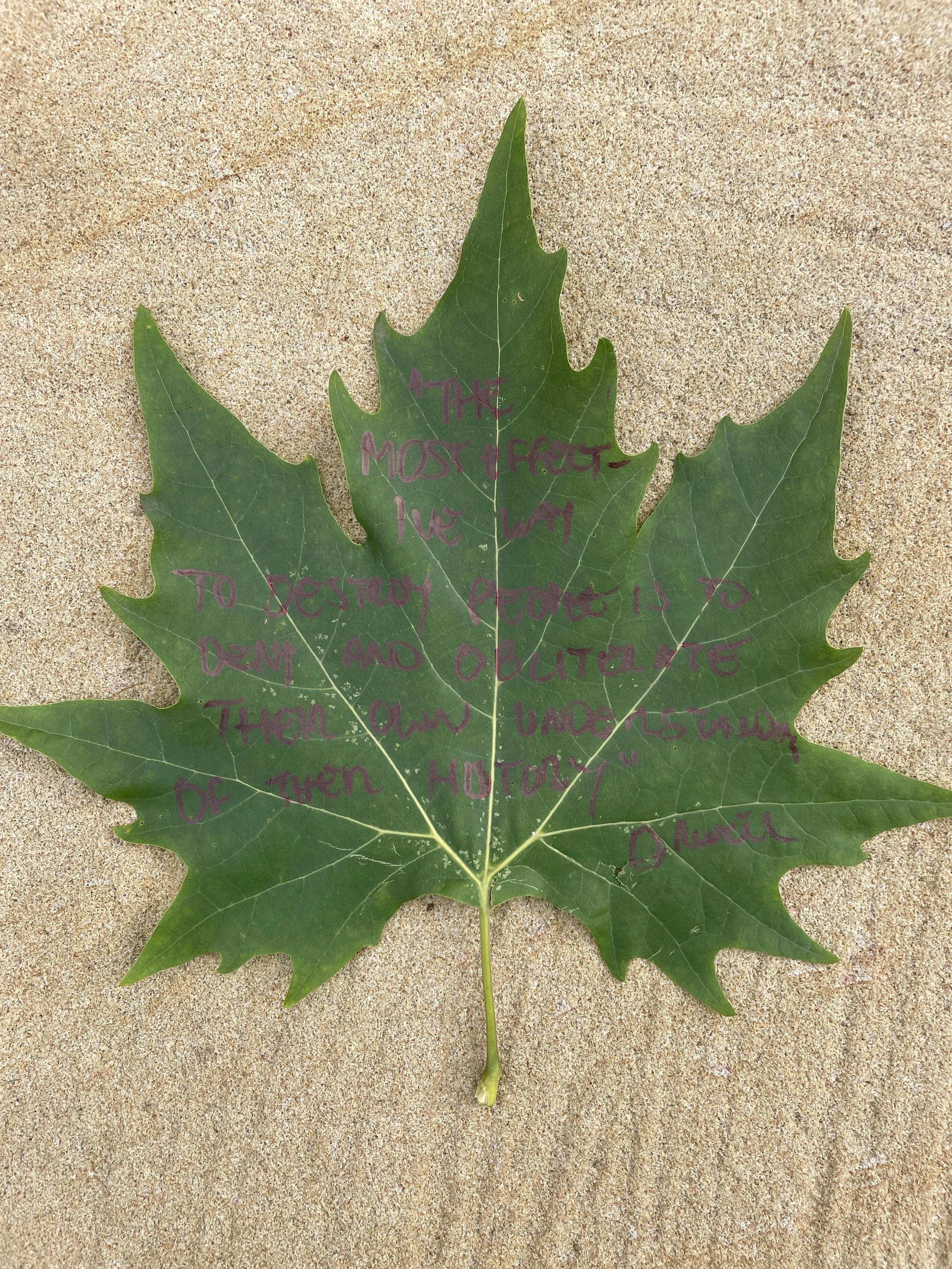 "Blood On The Leaves" (2024)