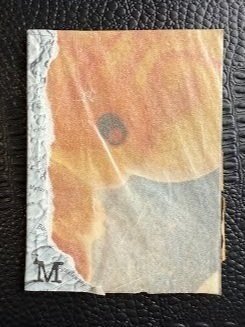 "M" (Limited edition run for the 2025 Blue Mountains Zine Fair"