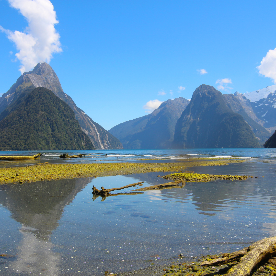 Milford Sound 3.png