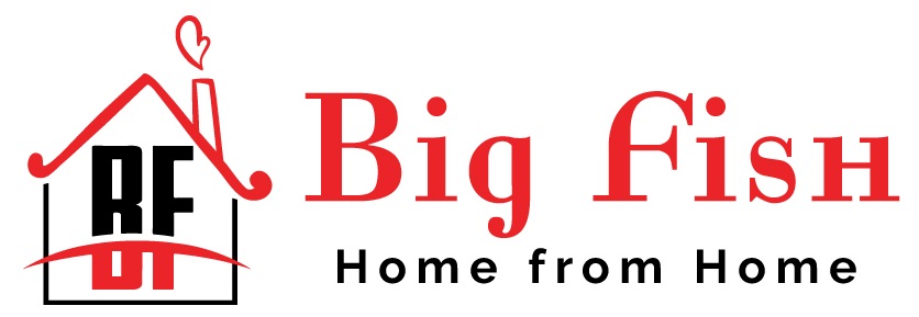 Big Fish Holiday Homes