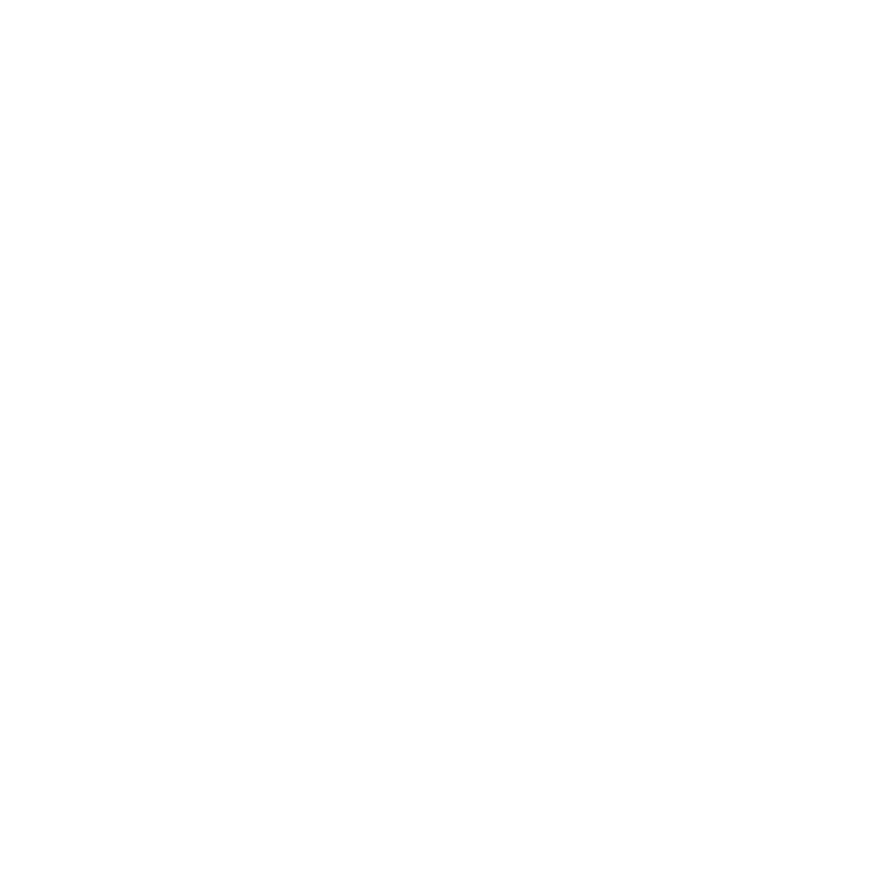 fenix 3x