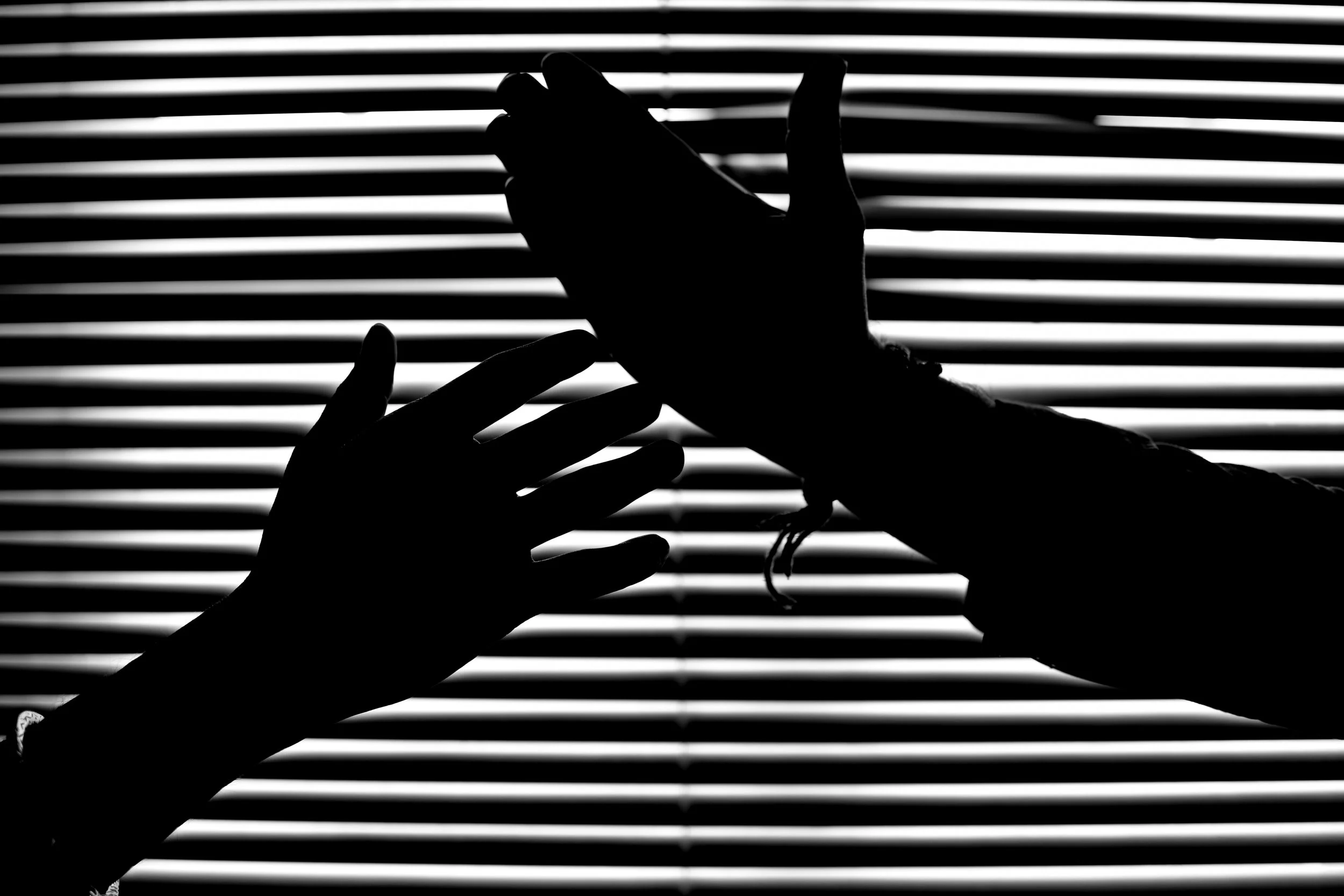 black-and-white-close-up-dark-814546.jpg