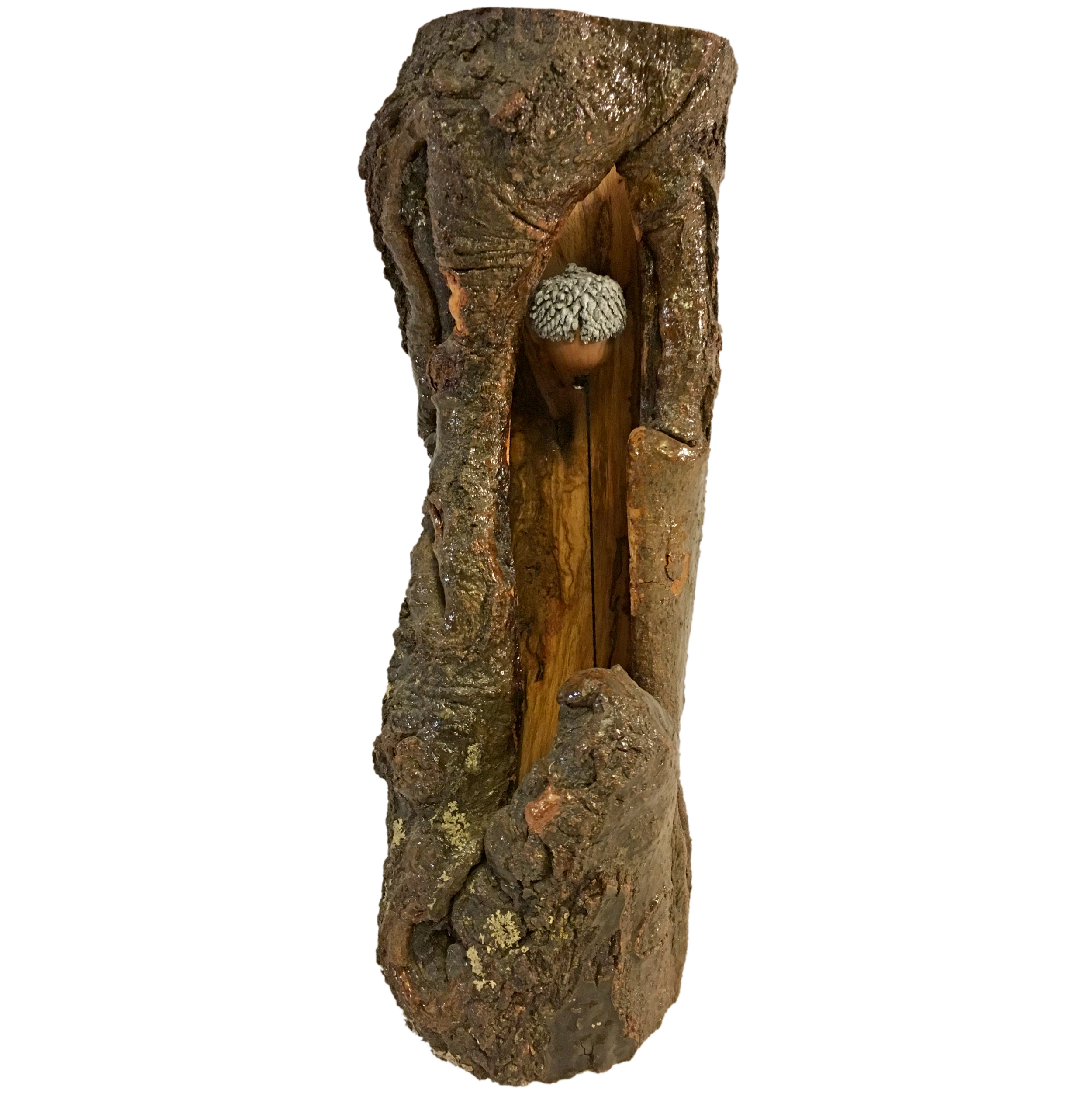 Acorn in the Oak $180