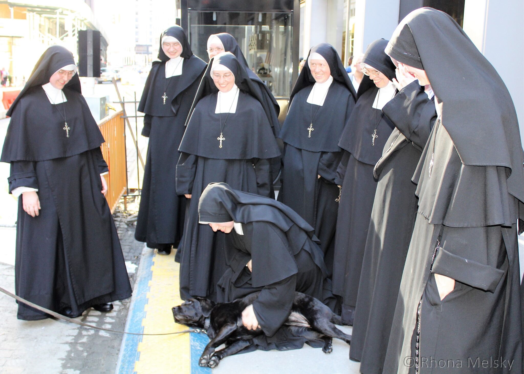 nuns and dogs.jpg