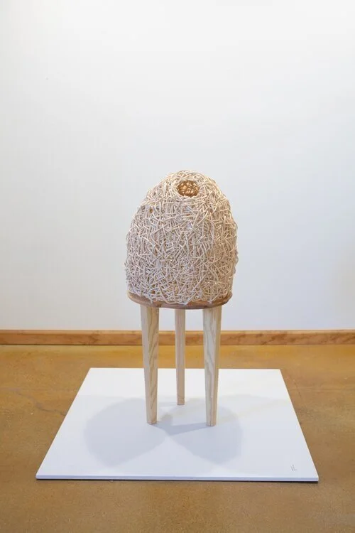   Wanderer , Teresa Audet 
