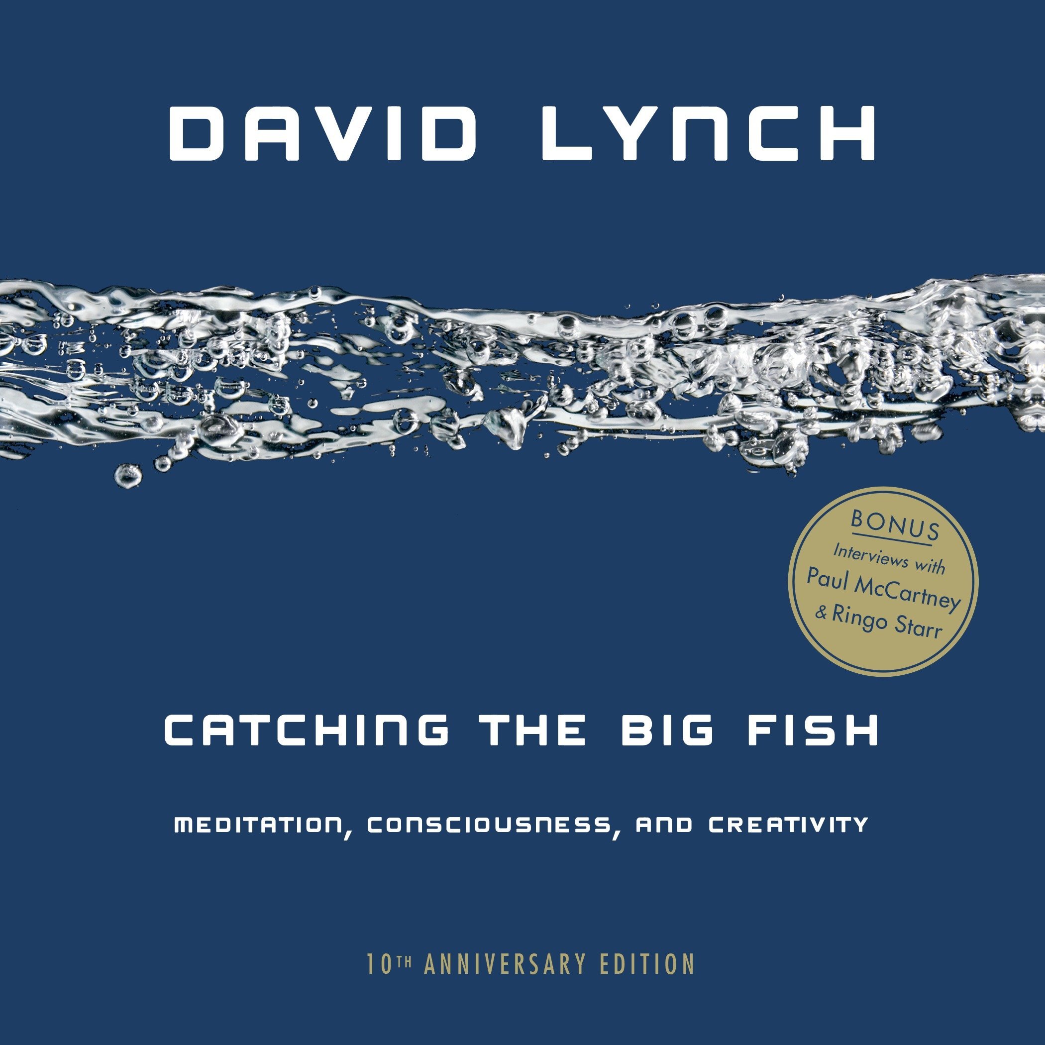 Catching the Big Fish: Meditation, Consciousness, and Creativity (Copy) (Copy)