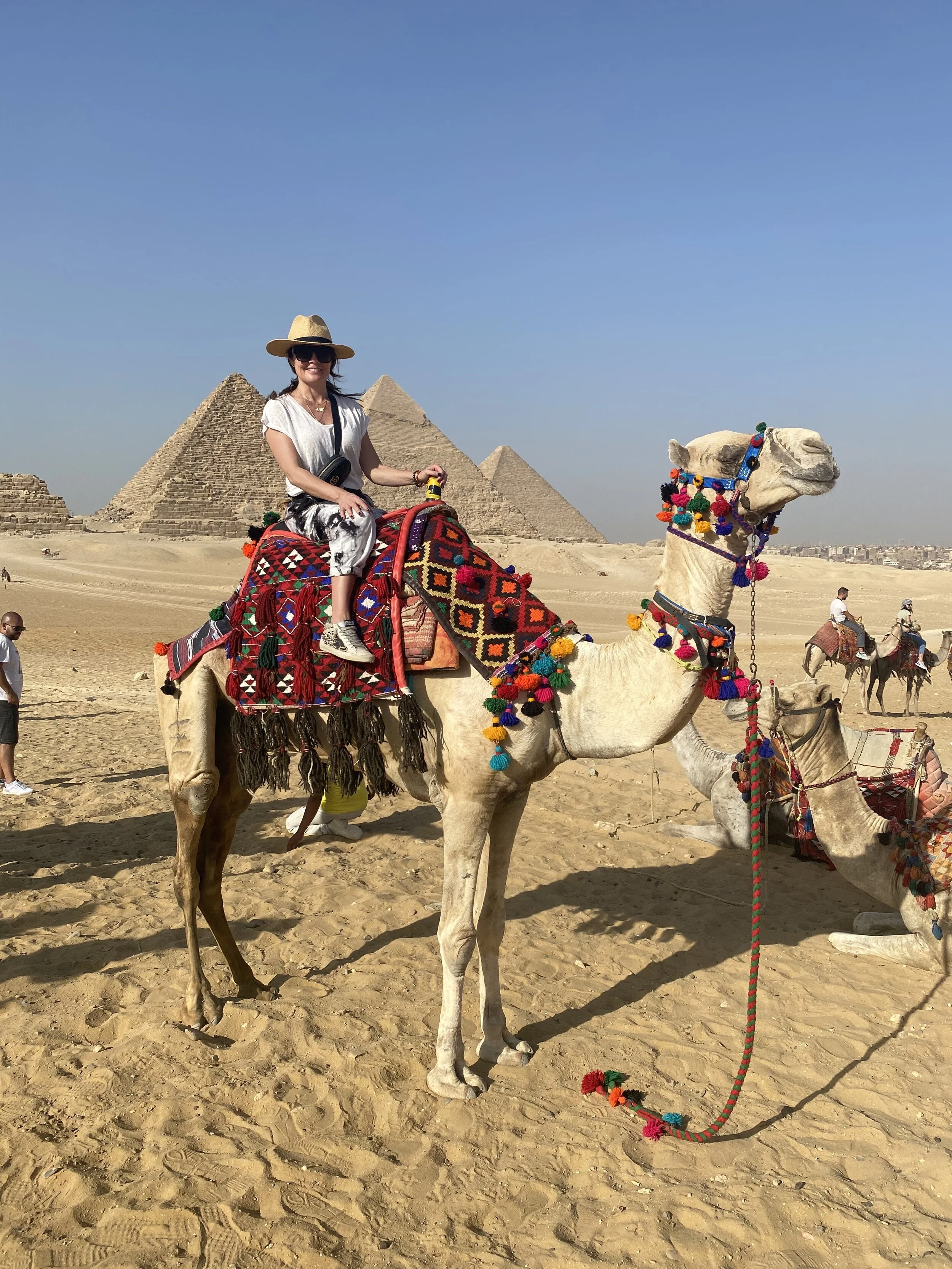 Trust in God but tie up your camel. -Arabic Proverb