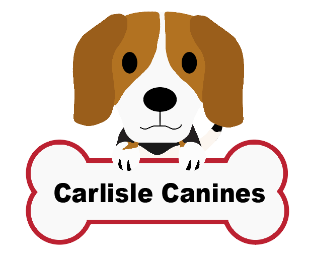 Carlisle Canines