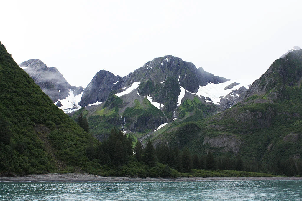 _MG_1740.jpg
