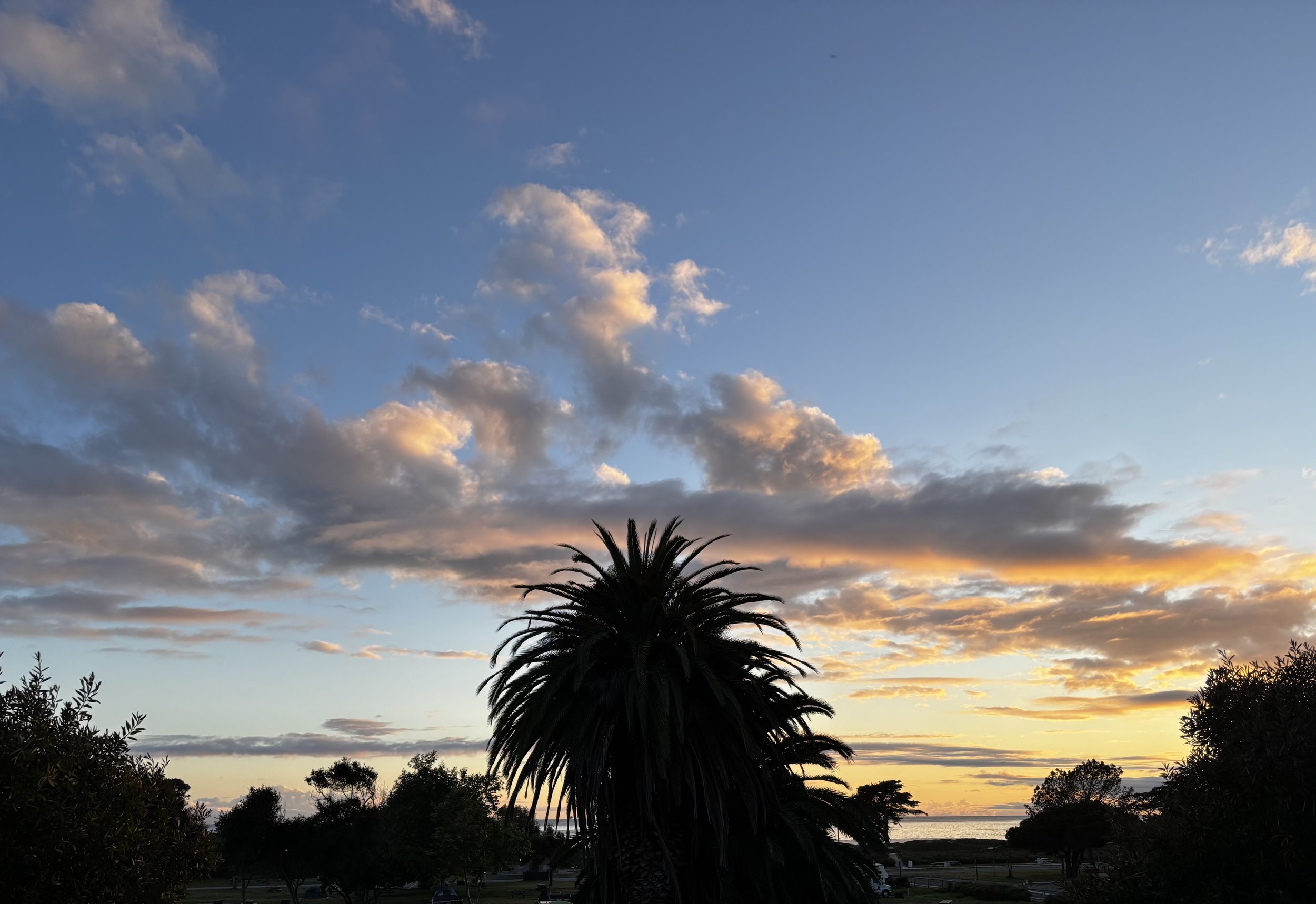 IMG_0897.jpeg