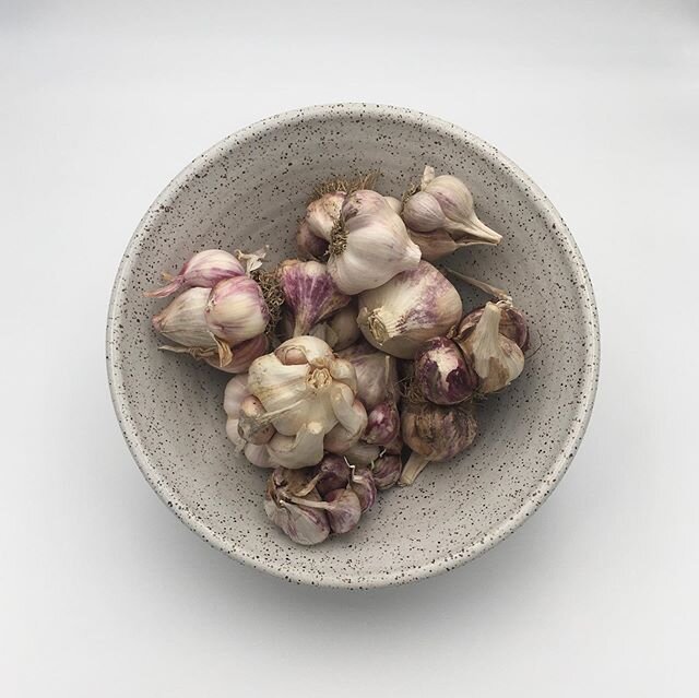 Homegrown garlic in a handmade bowl. #pacificstonepottery #garlic #handmadepottery #pottery #clay #bowl #makersmovement #gardentotable