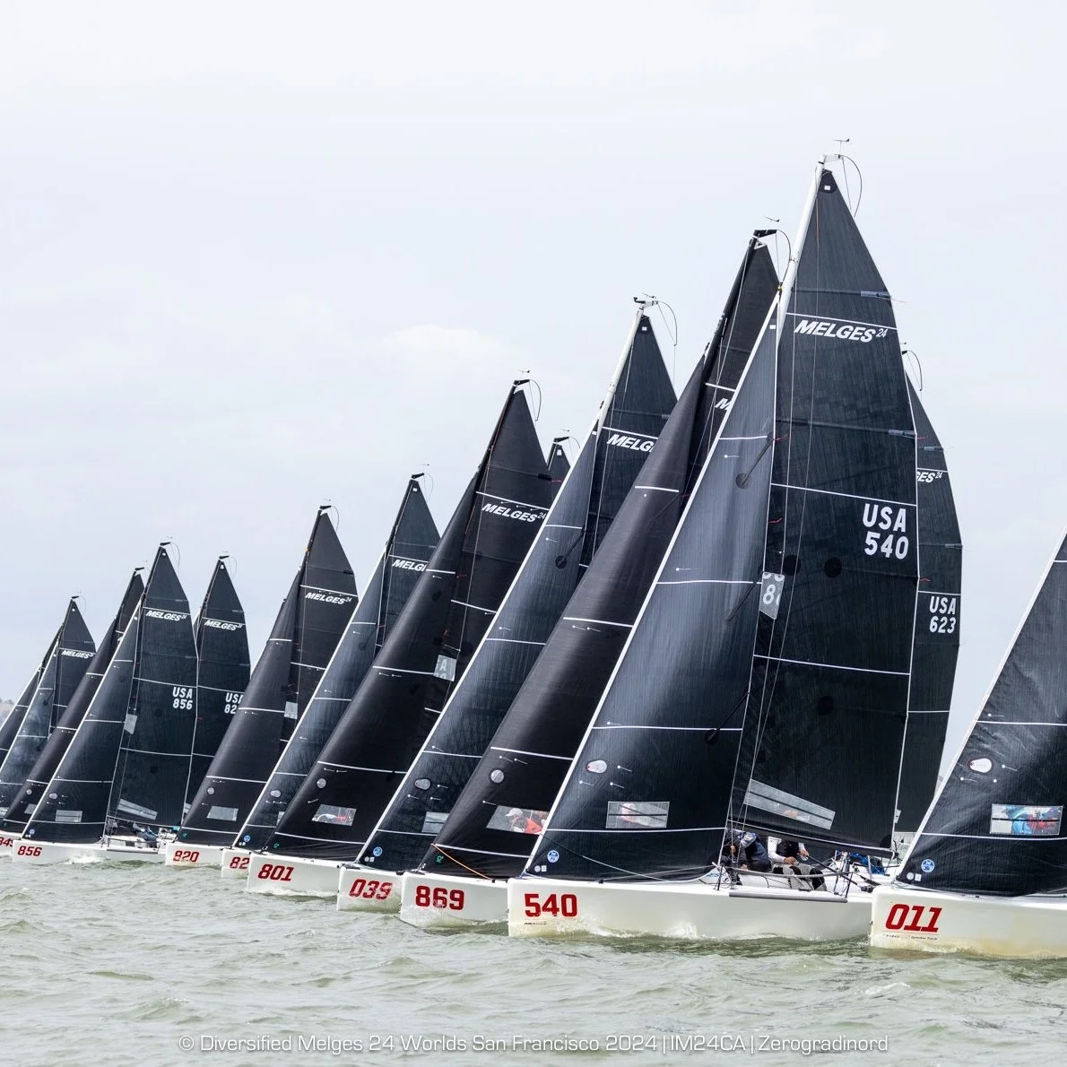 New Faces in the Winners’ Circle at 2024 Diversified Worlds