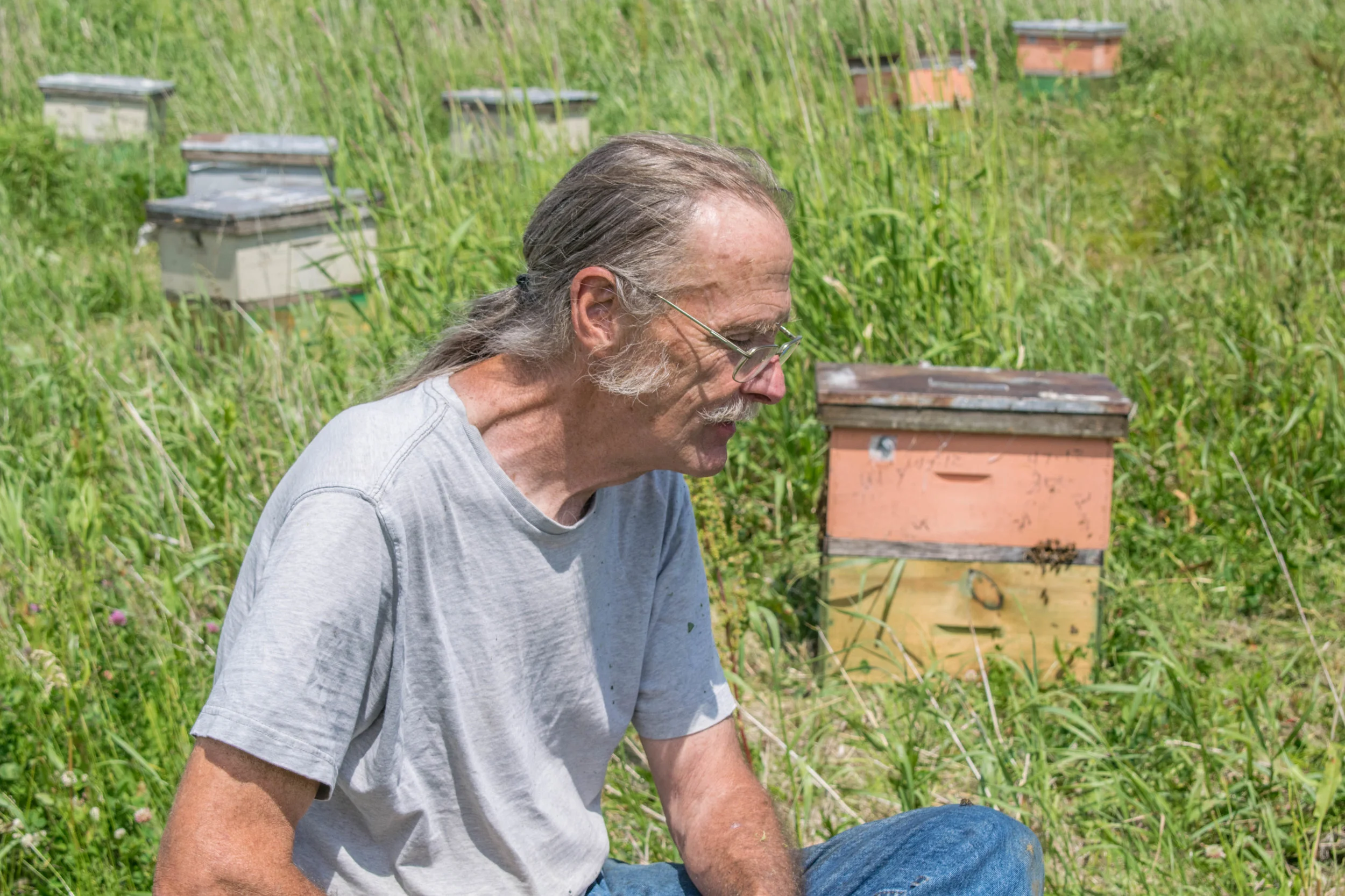 Mike the Thinker with Hive.jpg
