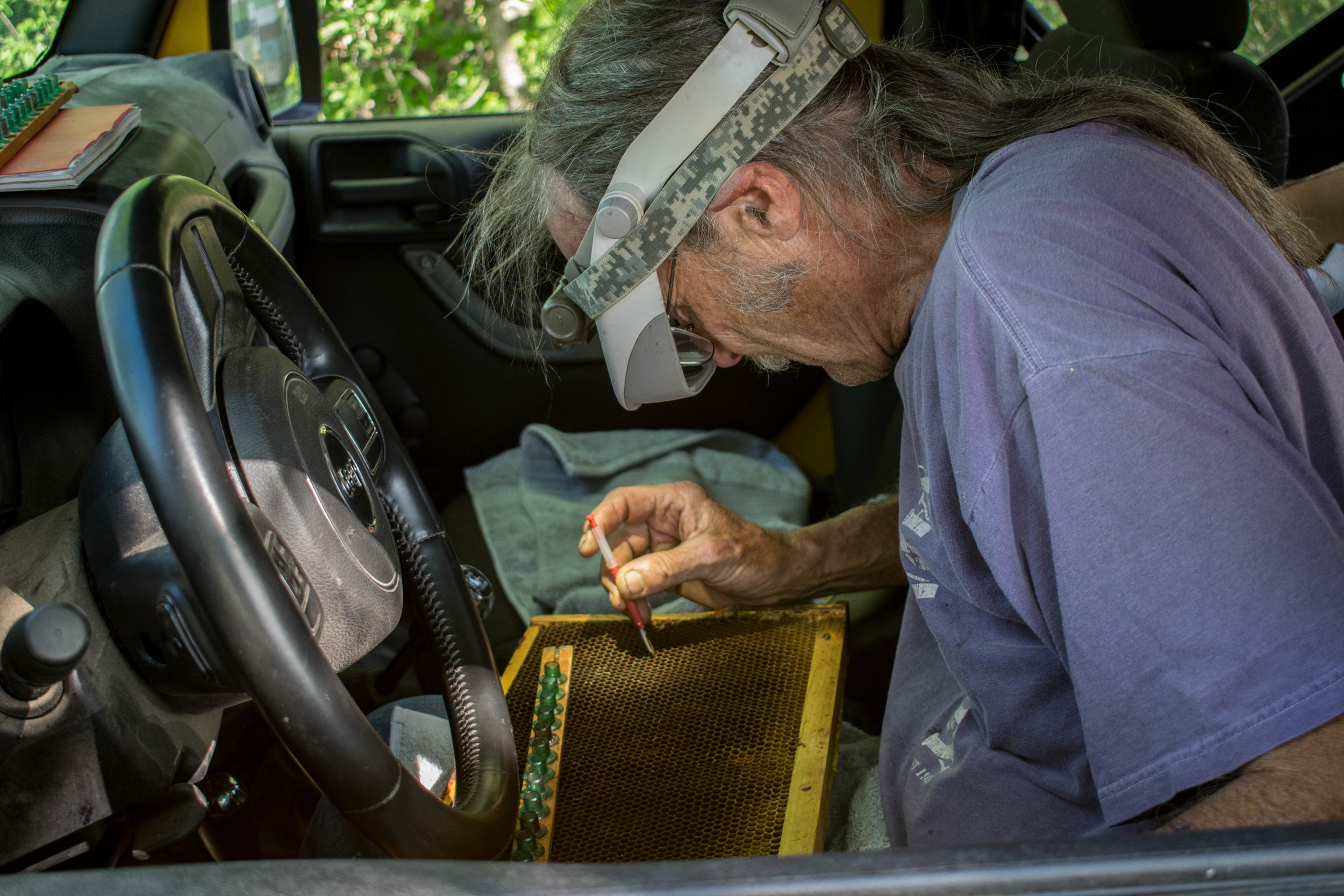Mike likes to graft in the cell builder yard. The jeep is easy to keep warm and the seat is comfortable. Efficiency is key during the busy season.