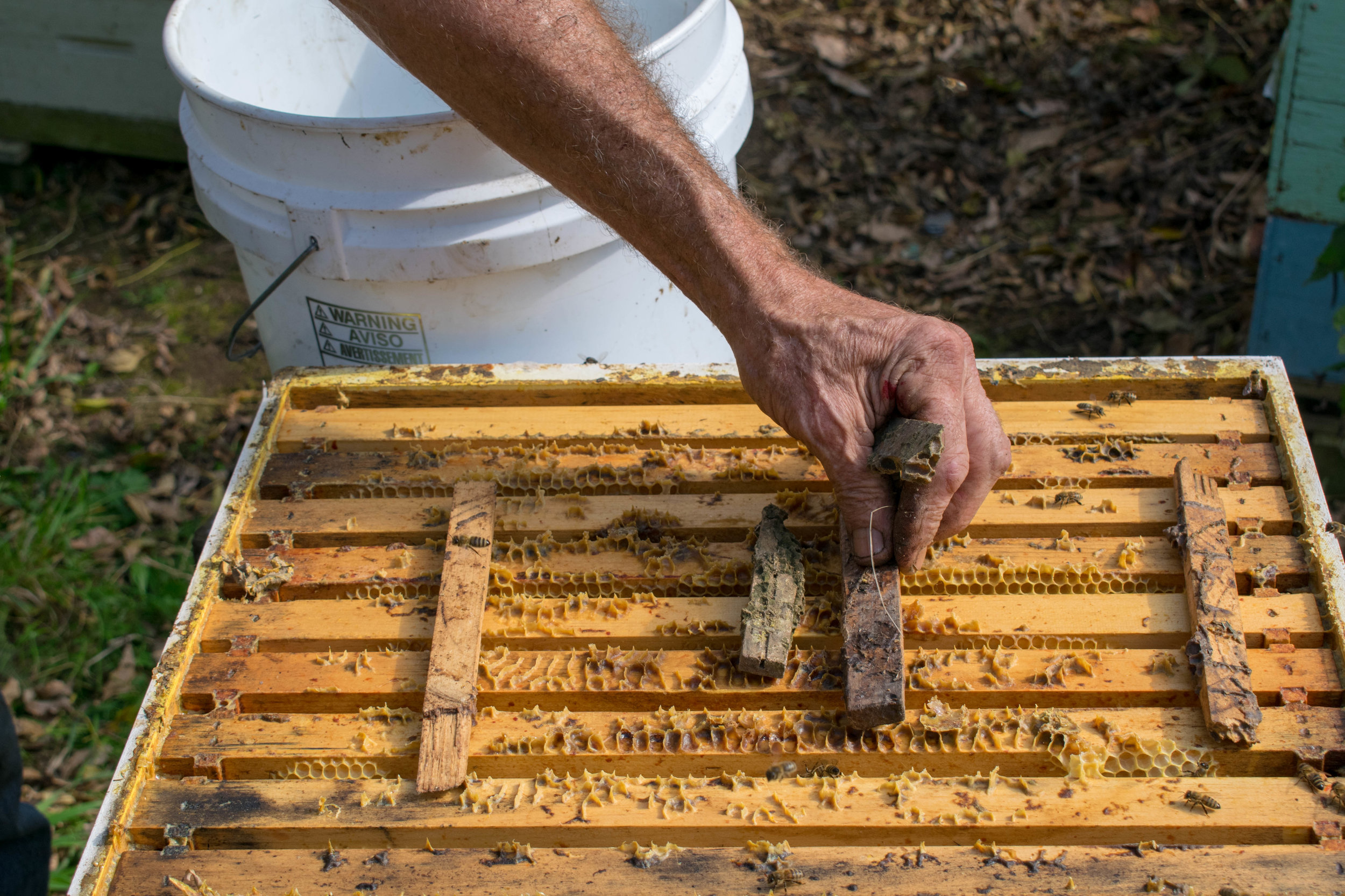 The sticks are spaced to allow room for bees to feed.