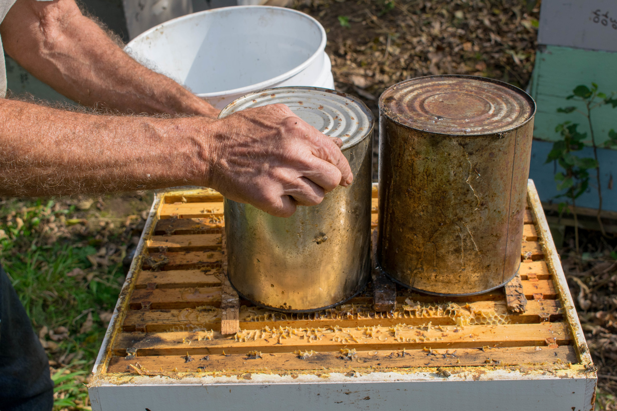 Feeding - Mike - 7 - Can 2b.jpg